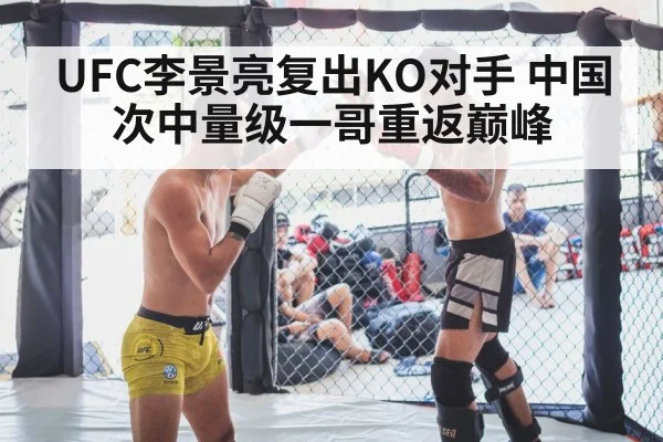 UFC李景亮复出KO对手 中国次中量级一哥重返巅峰
